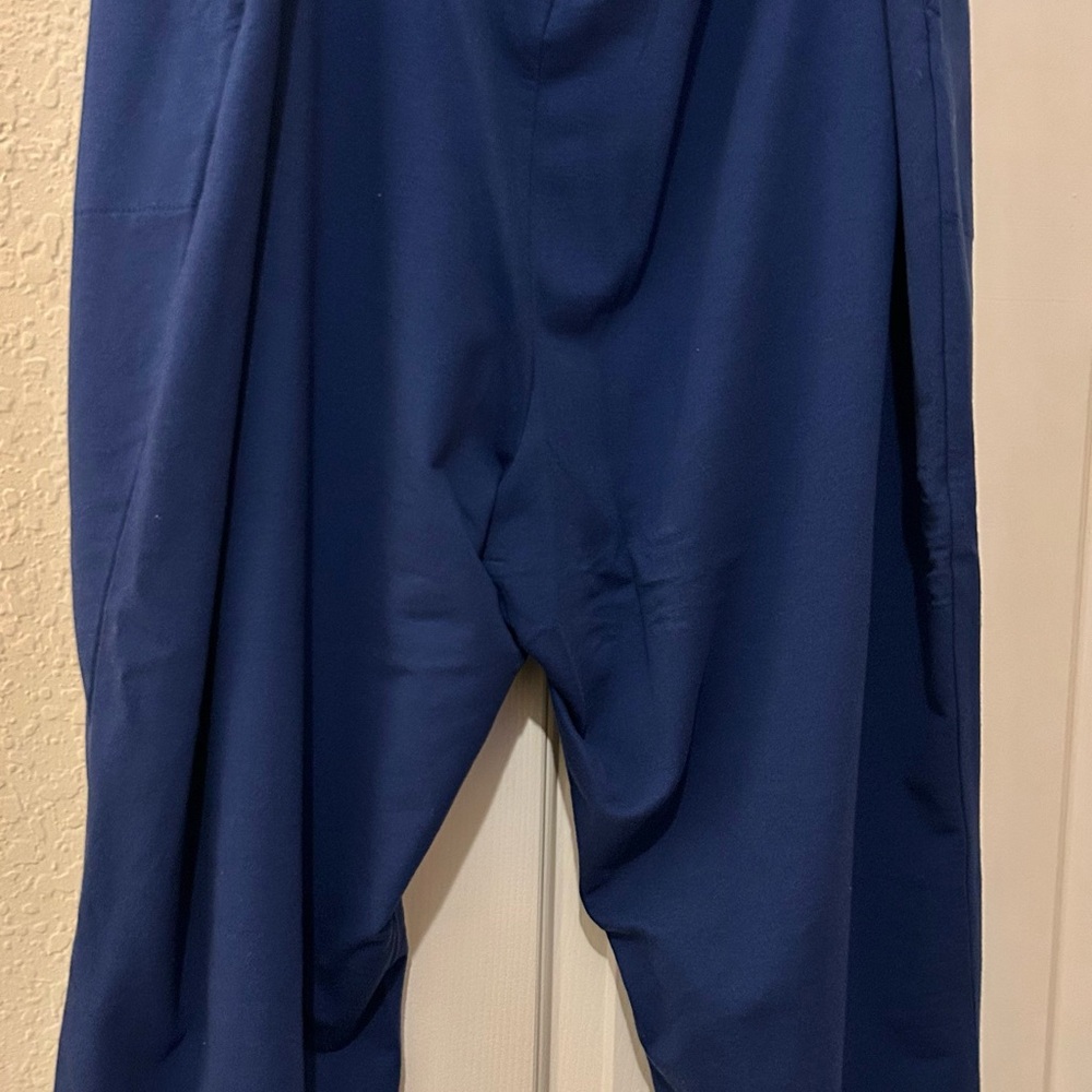 Belle by Kim Gravel Navy Ankle Cropped Pants 4x